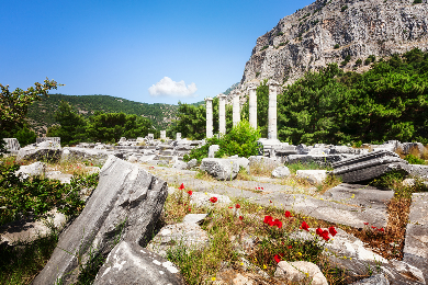 PRIENE, MILETUS AND DIDIM