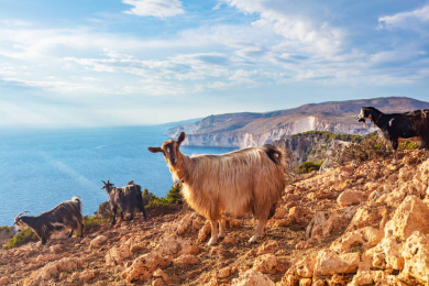 GRAMVUSA ISLAND - BALA LAGOON