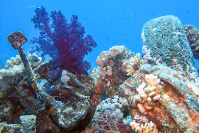 ATLANTIDA CITY (EXCLUSIVE TOUR)