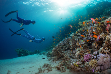 Sharm El Naga - a diving paradise