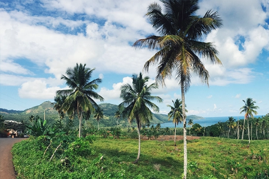 Nuotaikinga ekskursija su bagiais