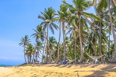 Playa Rincon safaris