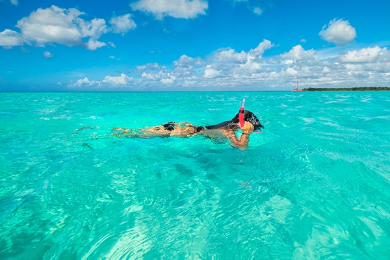 Paviršinis nardymas Marinariume