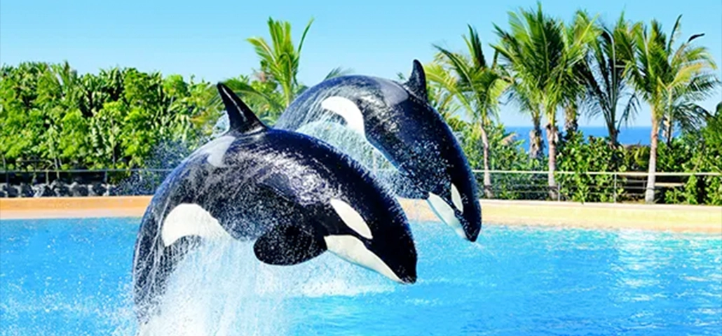 Loro Park - üks maailma parimaid loomaparke