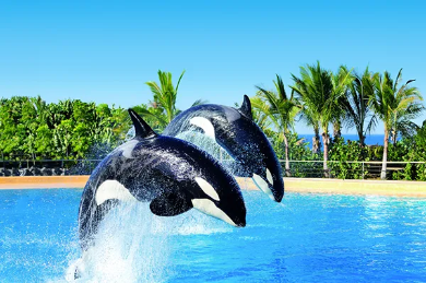 Loro Park - a world-class zoo