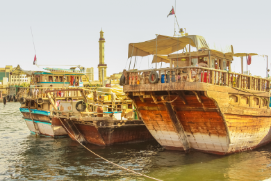 PRIVATI ŽVEJYBA DUBAJUJE / ABU DABYJE ARBA RAK