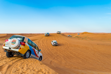 ABU DABIO DYKUMOS SAFARIS