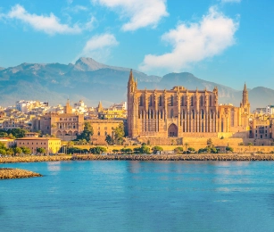 PAŽINTIS SU RYTINE PALMOS DALIMI